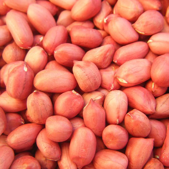 Soycain organic peanuts product