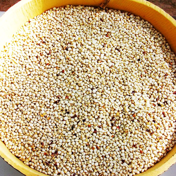 Soycain organic soybeans product