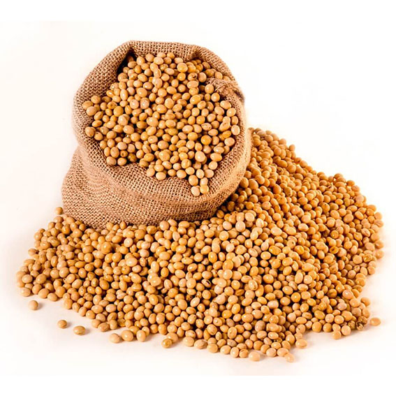 Soycain organic soybeans product